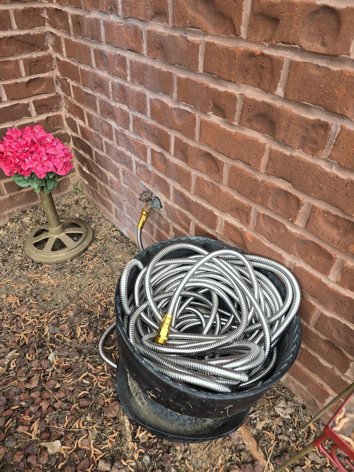 Rosy Earth 100 FT Garden Hose Expandable - 304 Stainless Steel Water Hose 100 FT - Heavy Duty Flexible Kink Free Hose, no Bite customer photo 2