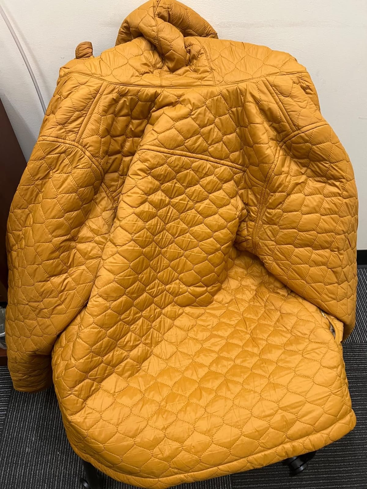 Amazon Essentials womens Lightweight Quilted Full-Zip Water-Resistant Sherpa-Lined Hooded Puffer Jacket customer photo 2