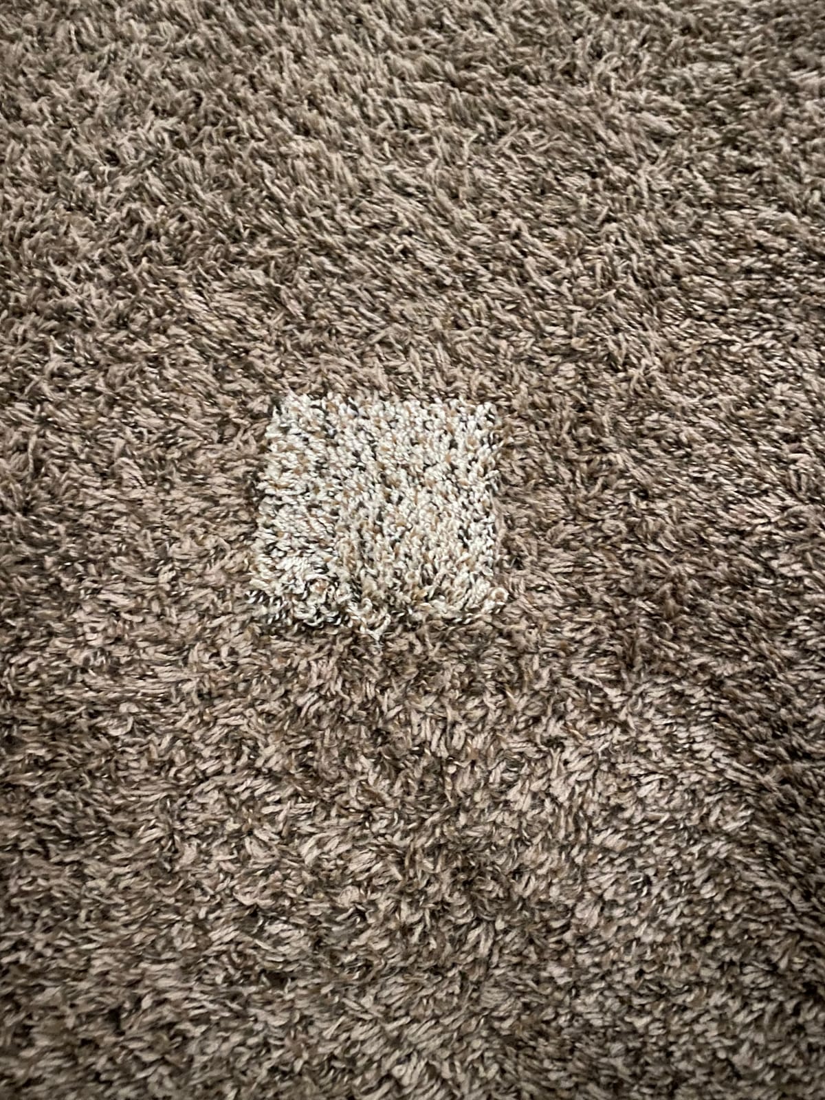 Smart Squares Walk in the Park Carpet Tiles (10 Tiles, 760 Gemstone) customer photo 1