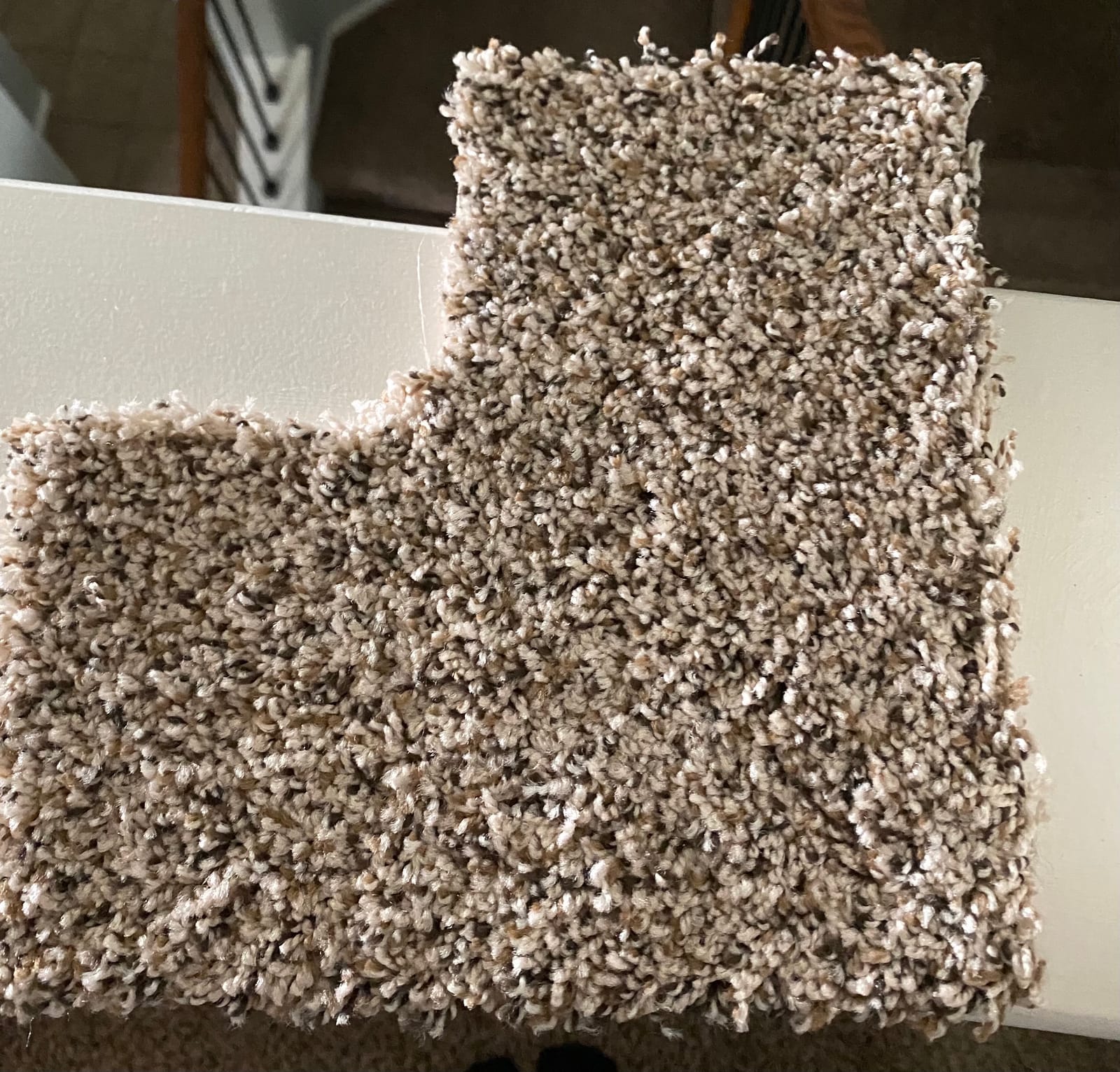 Smart Squares Walk in the Park Carpet Tiles (10 Tiles, 760 Gemstone) customer photo 2