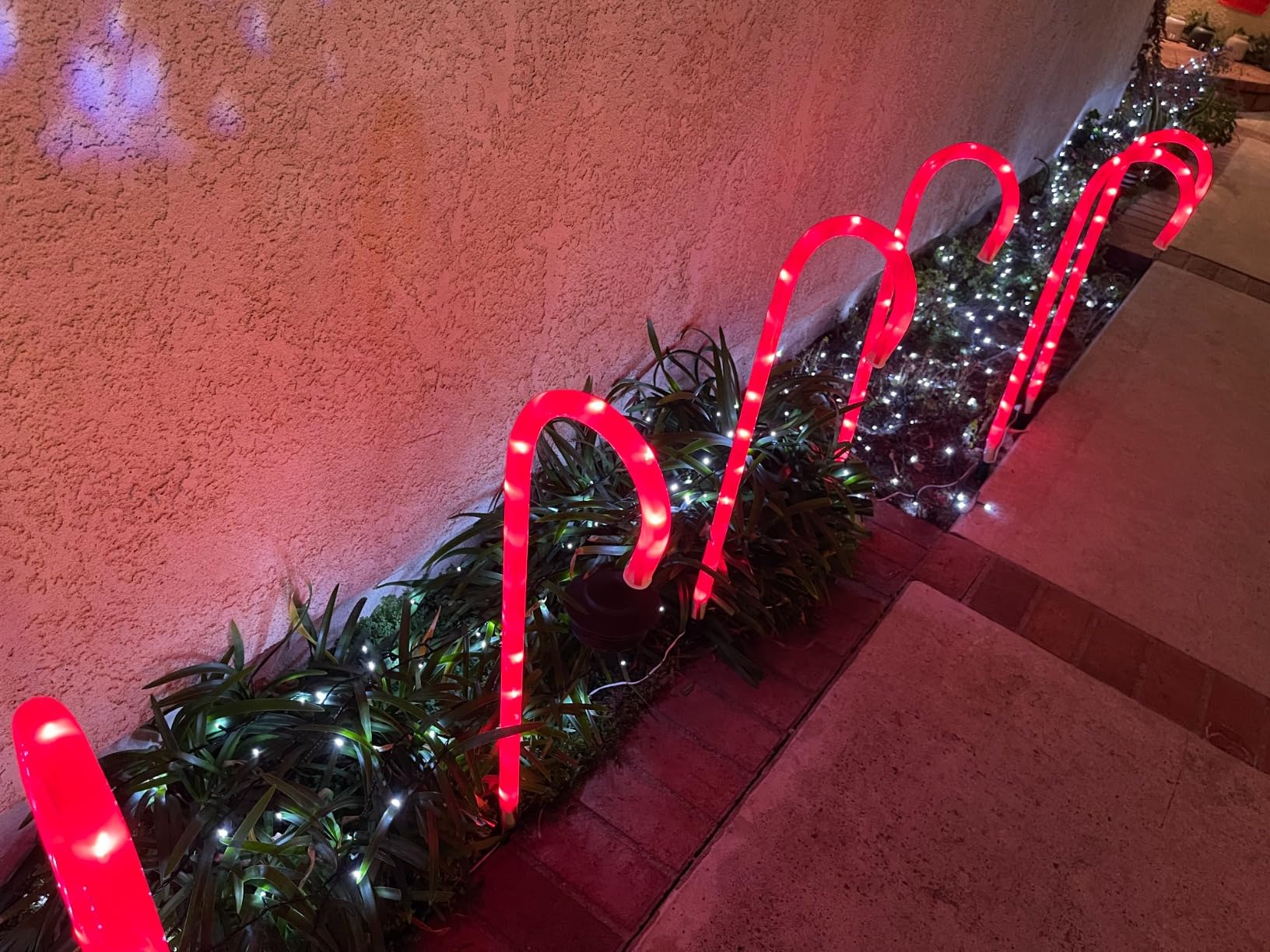 FUNPENY 164FT 500 LED Christmas Indoor Outdoor Decorative String Lights, 8 Modes Waterproof Green Wire LED Fairy Light for Christmas Party Wedding Garden Home Decoration (Warm White) customer photo 2