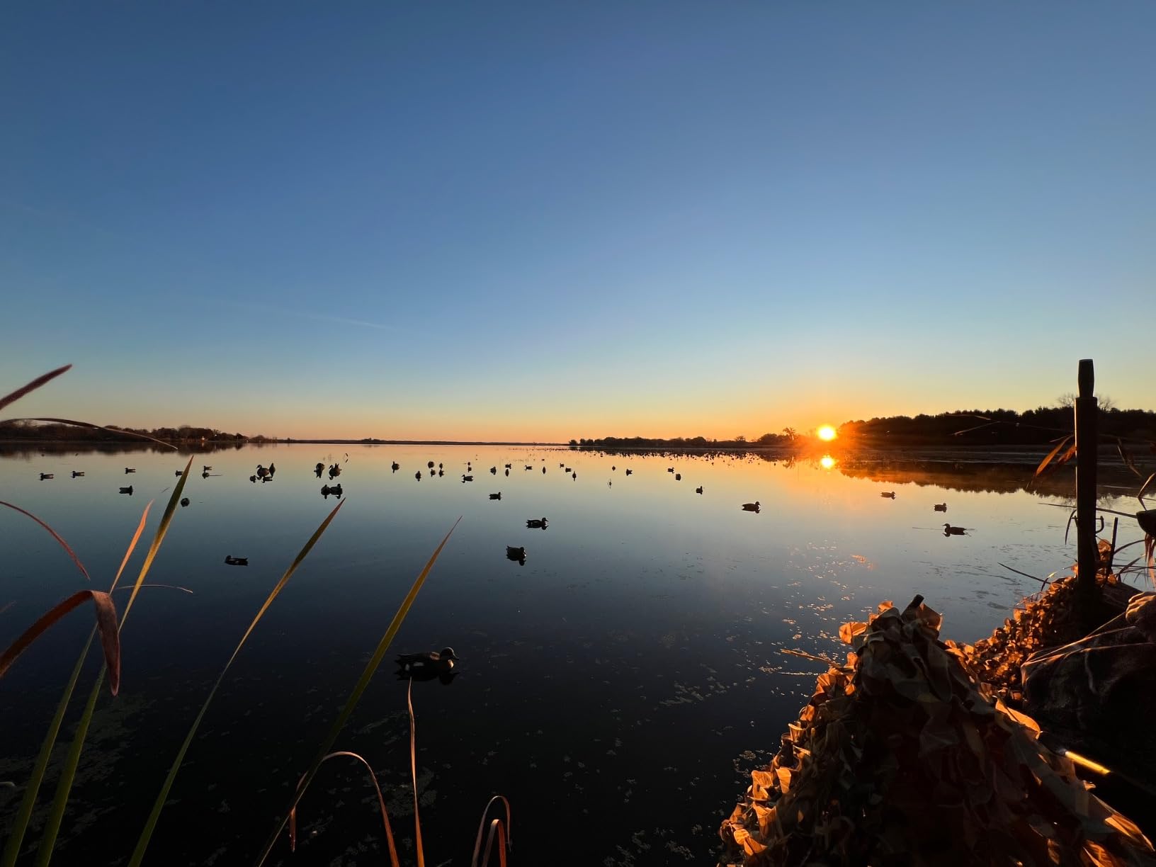 Final Approach Last Pass Mallard Floaters, Decoy 12 Pack customer photo 2