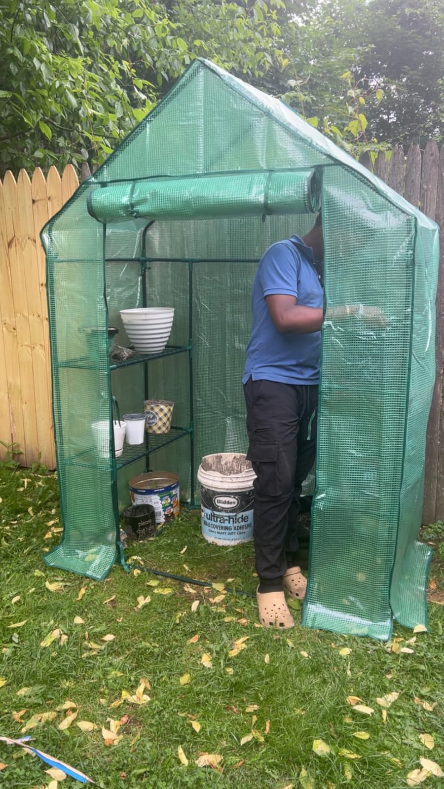 56x30x76 Portable Walk-in Greenhouse for Outdoors, Plant House with Shelves customer photo 1