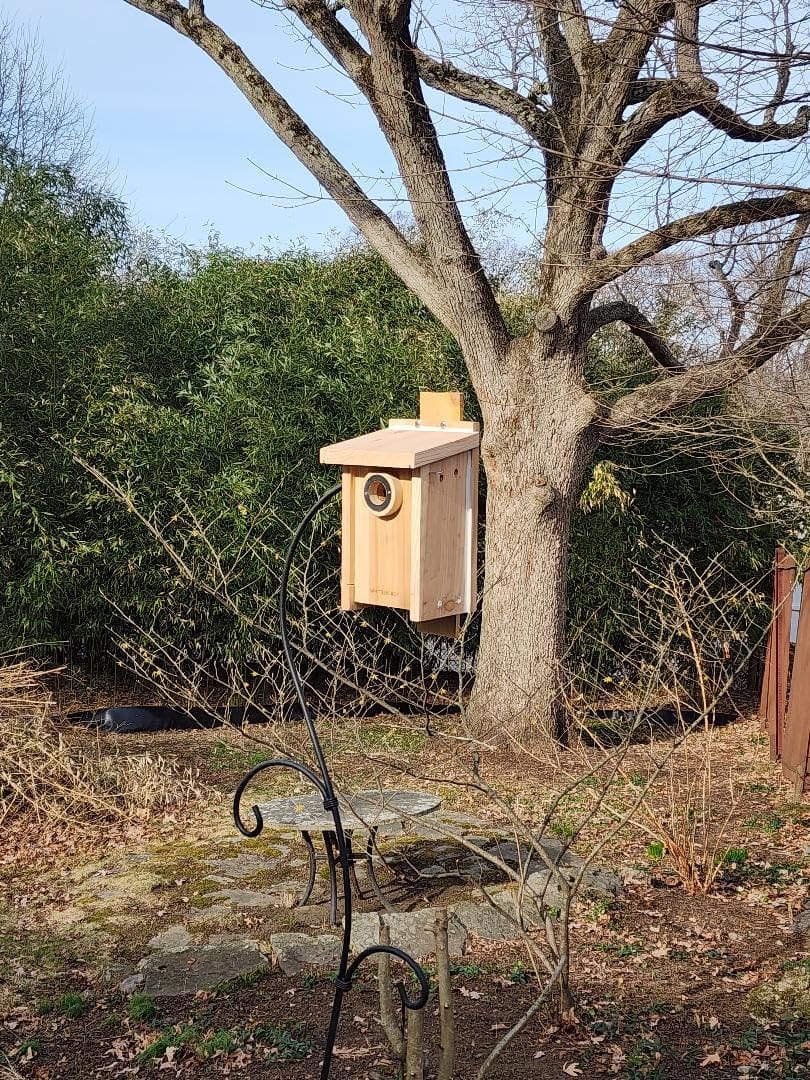 WHITEHORSE Bluebird House - Weatherproof Bird House for Outdoors - Cedar Birdhouse Built to NABS Specs - Nest Box for Bluebirds, Chickadees, Titmice, Wrens, Nuthatches & More (15” Floor) customer photo 2