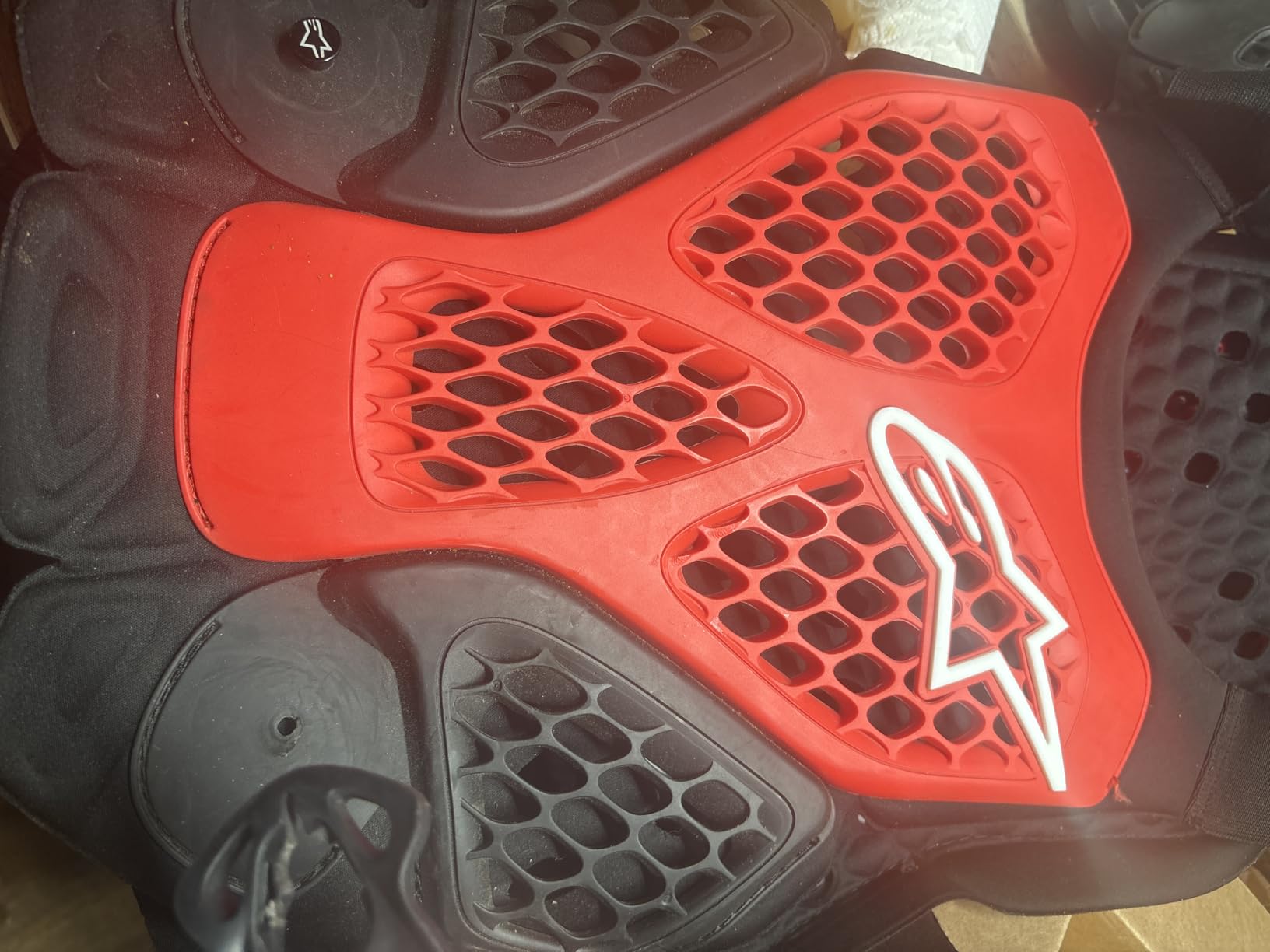 Alpinestars Bionic Action Chest Protector customer photo 1