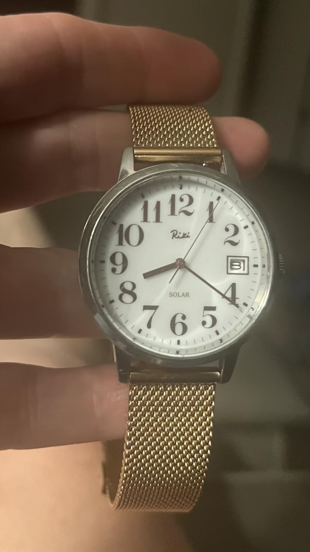 EACHE Stainless Steel Mesh Watch Bands for Men Women Quick Release 12-22mm customer photo 1