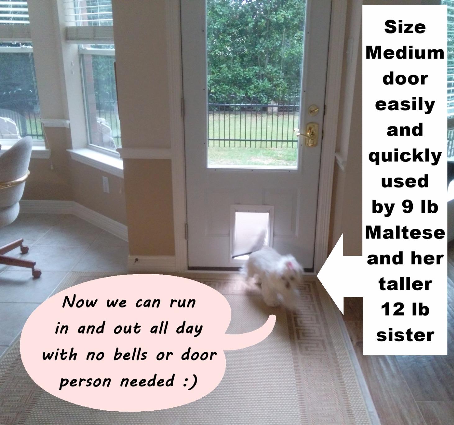 PetSafe Freedom Aluminum Dog & Cat Door, Pets up to 100 lbs, Large, White customer photo 1