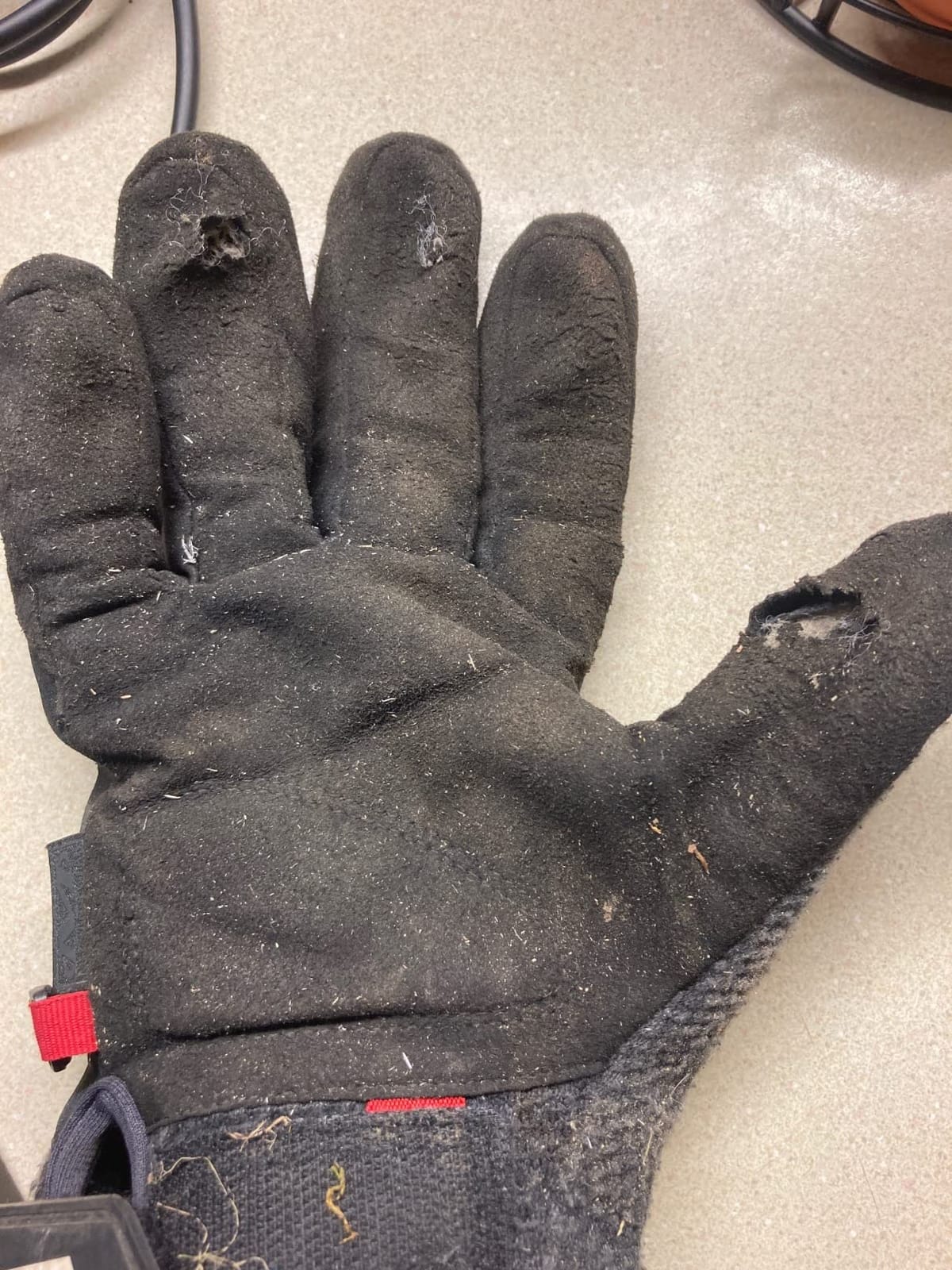 Mechanix Wear ColdWork Original Gloves Large Black/Grey customer photo 1