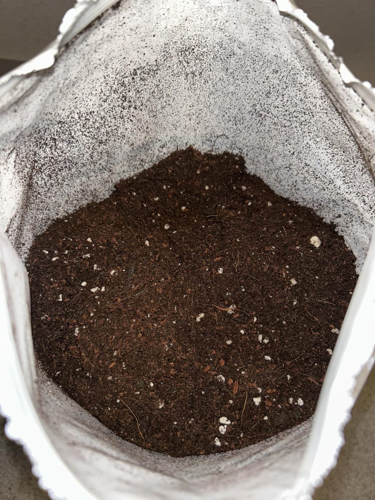 Burpee, 9 Quarts | Premium Organic Potting Natural Soil Mix Food Ideal for Container Garden-Vegetable, Flower & Herb Use for Indoor Outdoor Plant customer photo 2