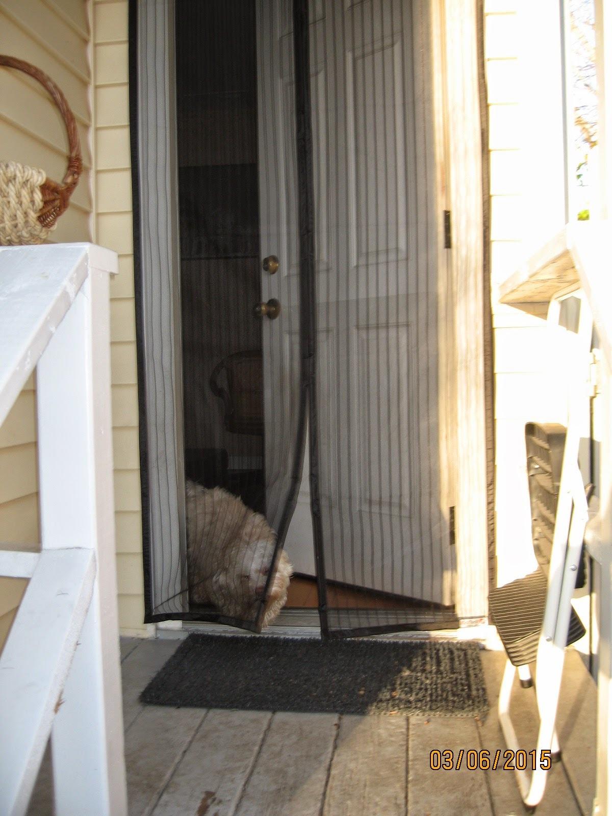 UnBugs Garage Screen Doors for 1 Car Garage - Fits Single Garage Doors up to 8 Feet Wide x 7 Feet Tall MAX - Pet & Kid Friendly, Self-Closing - Hands Free Magnet Closure Keeps Bugs Out & Breeze in customer photo 1