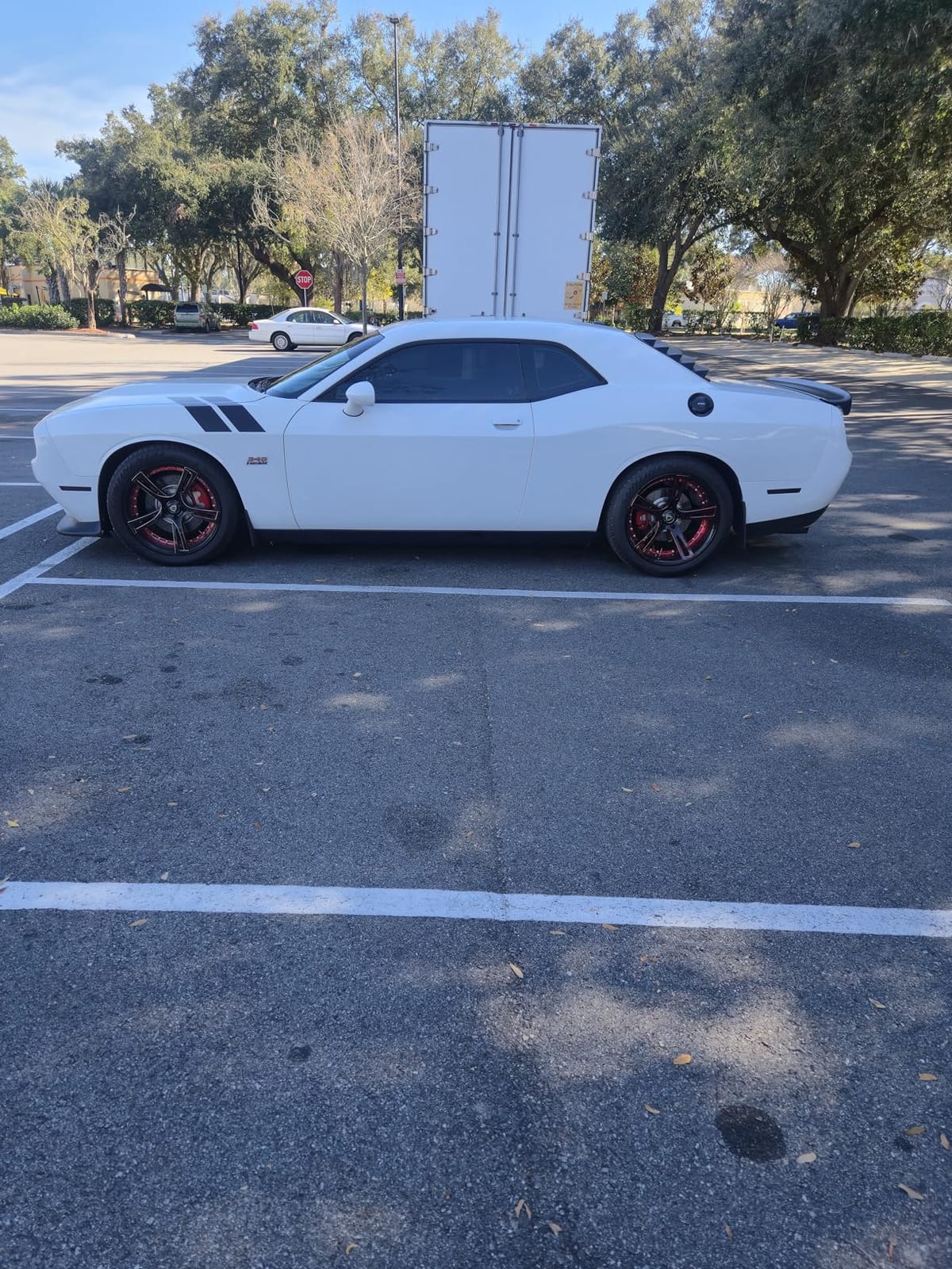 Continental ExtremeContact DWS06 PLUS UHP All Season 225/40ZR18 92Y XL Passenger Tire customer photo 2