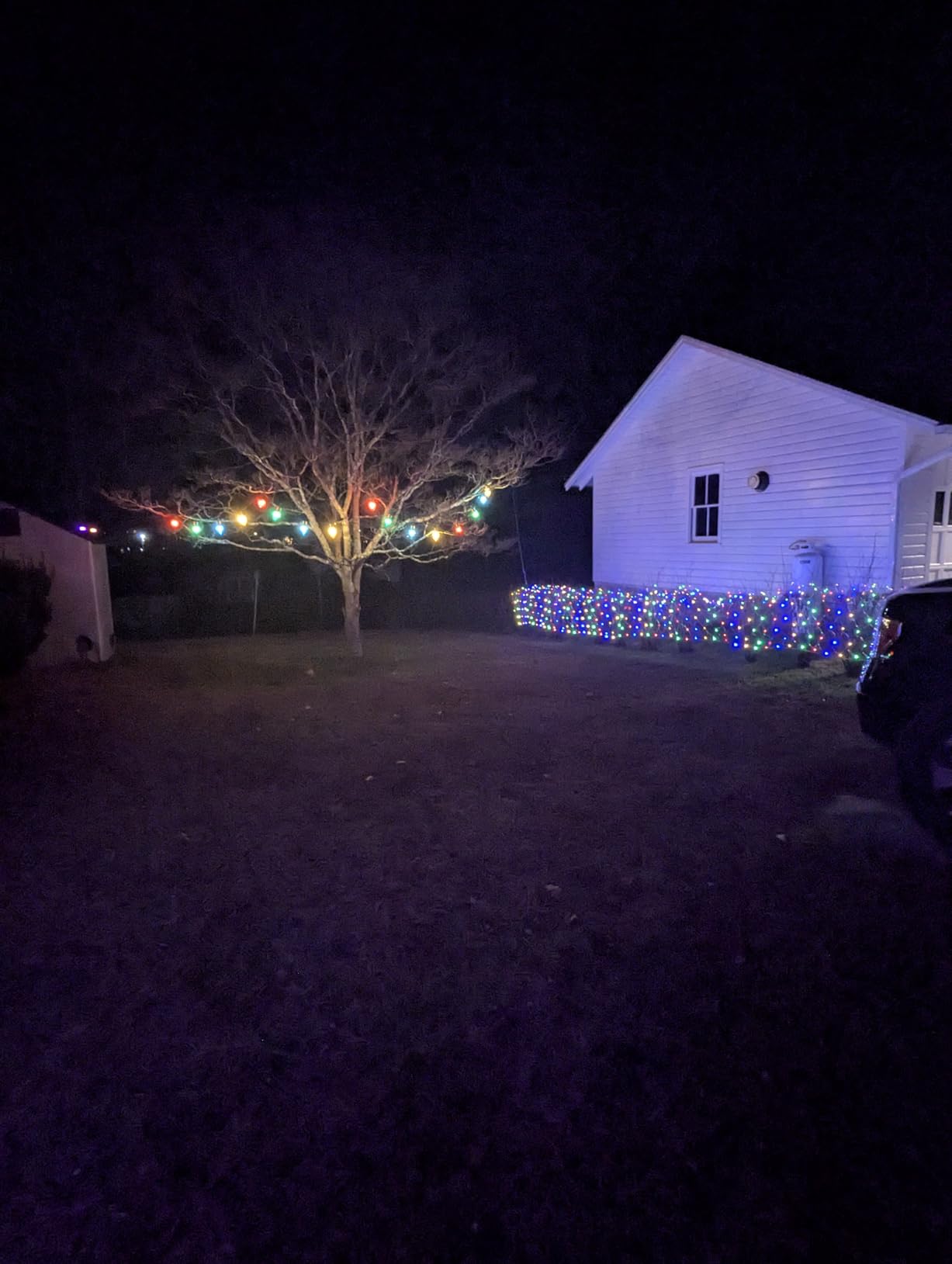 Pooqla Colorful Net Lights, 15x 5ft Christmas Lights Outdoor Green Wire customer photo 1