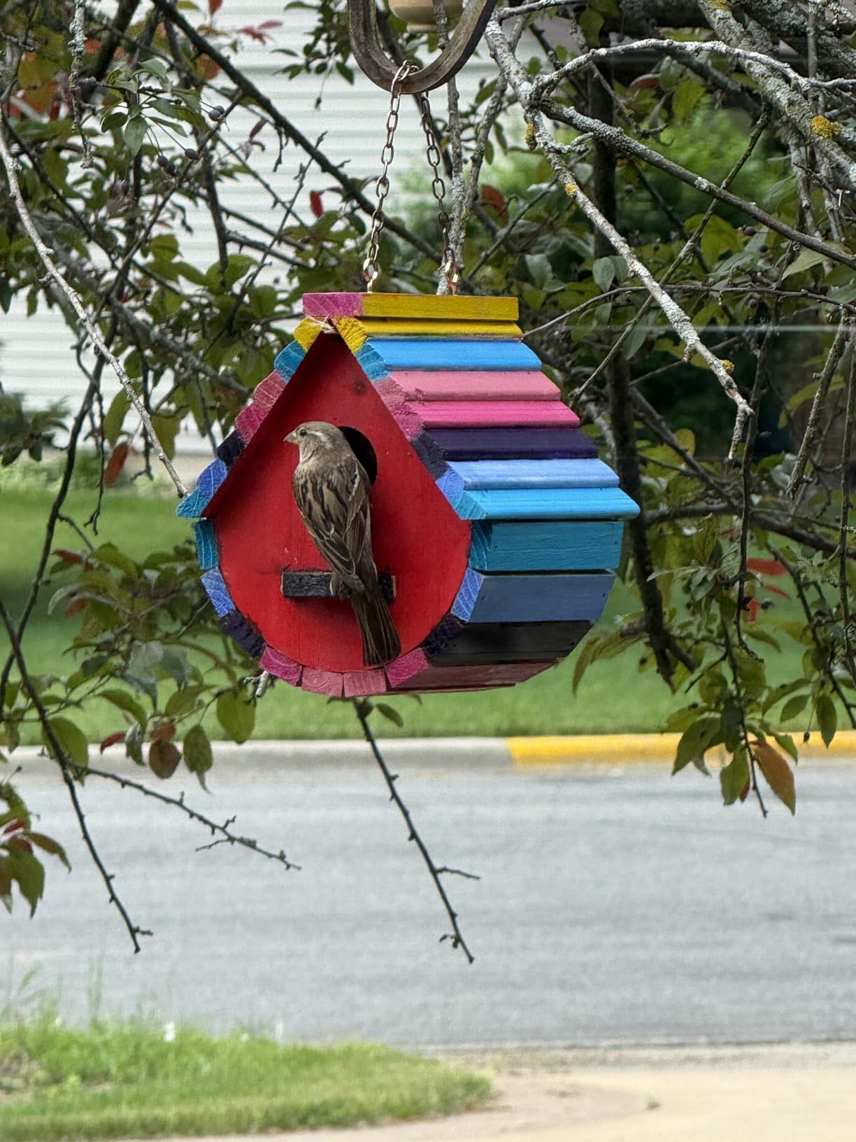 Bird House for Outside,Wood Birdhouses Outdoor, Wooden Bird House Bluebird Finch Cardinals Hanging Birdhouse for Garden Viewing customer photo 1