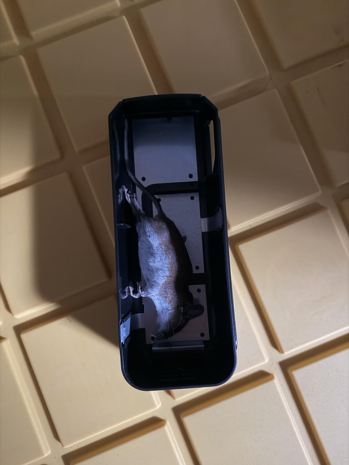 OWLTRA OW-5 Ultrasonic Rodent Repellers 4 Pack, Effectively Repel Rodents While 100% Silent & Safe to Humans and Non-Rodent Pets, White customer photo 2