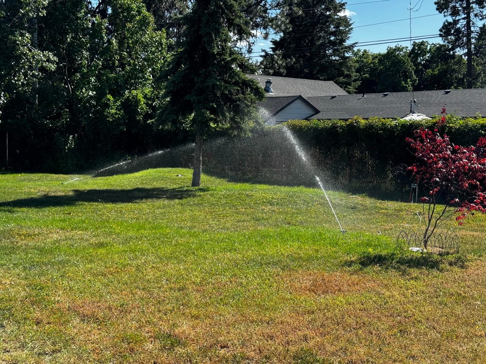 STYDDI Heavy Duty Impact Pulsating Sprinkler for Yard, All Metal Adjustable Rotating Circular Impulse Lawn Sprinkler for Medium to Large Areas, Lawn and Garden, Coverage up to 5,800 Sq. Ft customer photo 2