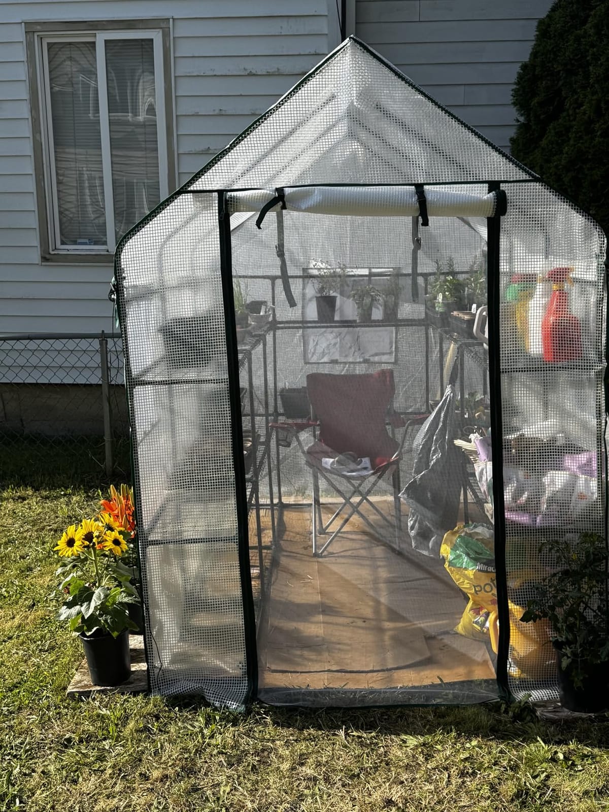SUNGIFT Walk-in Greenhouse, 57 x 61 x 80 in, 3 Tiers 10 Shelves customer photo 2