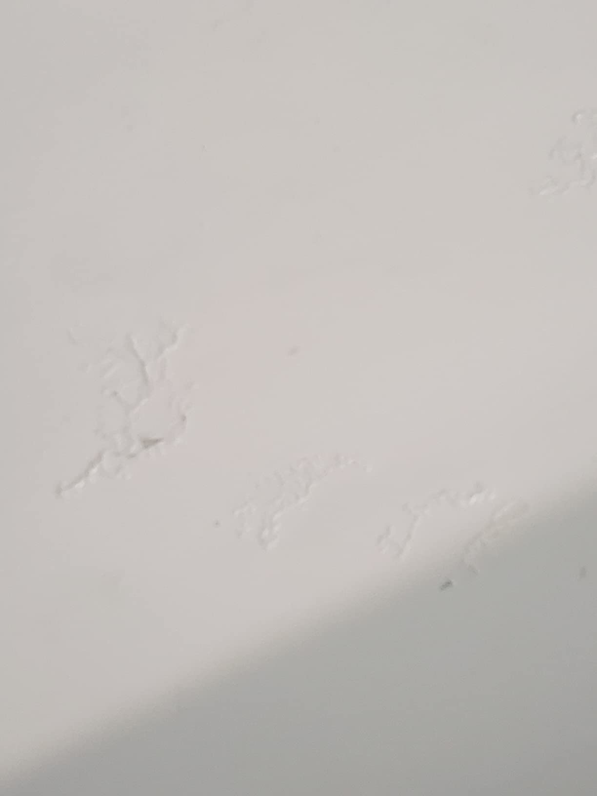 Diamond Brite Kitchen and Bath Latex Paint, Brite White, 1 Gallon, 40500-1 customer photo 1