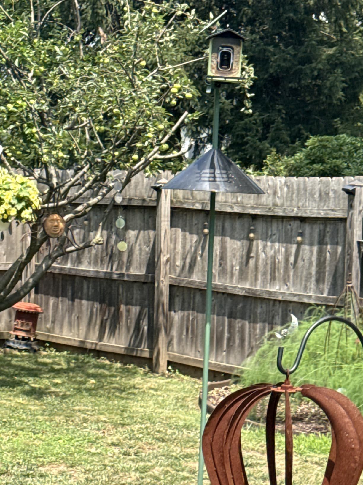 Garbuildman Squirrel Baffle for Bird Feeder Pole, Outside Pole Mount Bird House Guard for Outdoor Shepherd’s Hook, 19 Inch Diameter, 1 Pack customer photo 1
