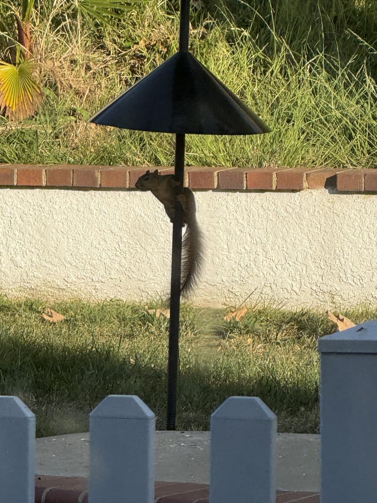 Garbuildman Squirrel Baffle for Bird Feeder Pole, Outside Pole Mount Bird House Guard for Outdoor Shepherd’s Hook, 19 Inch Diameter, 1 Pack customer photo 2