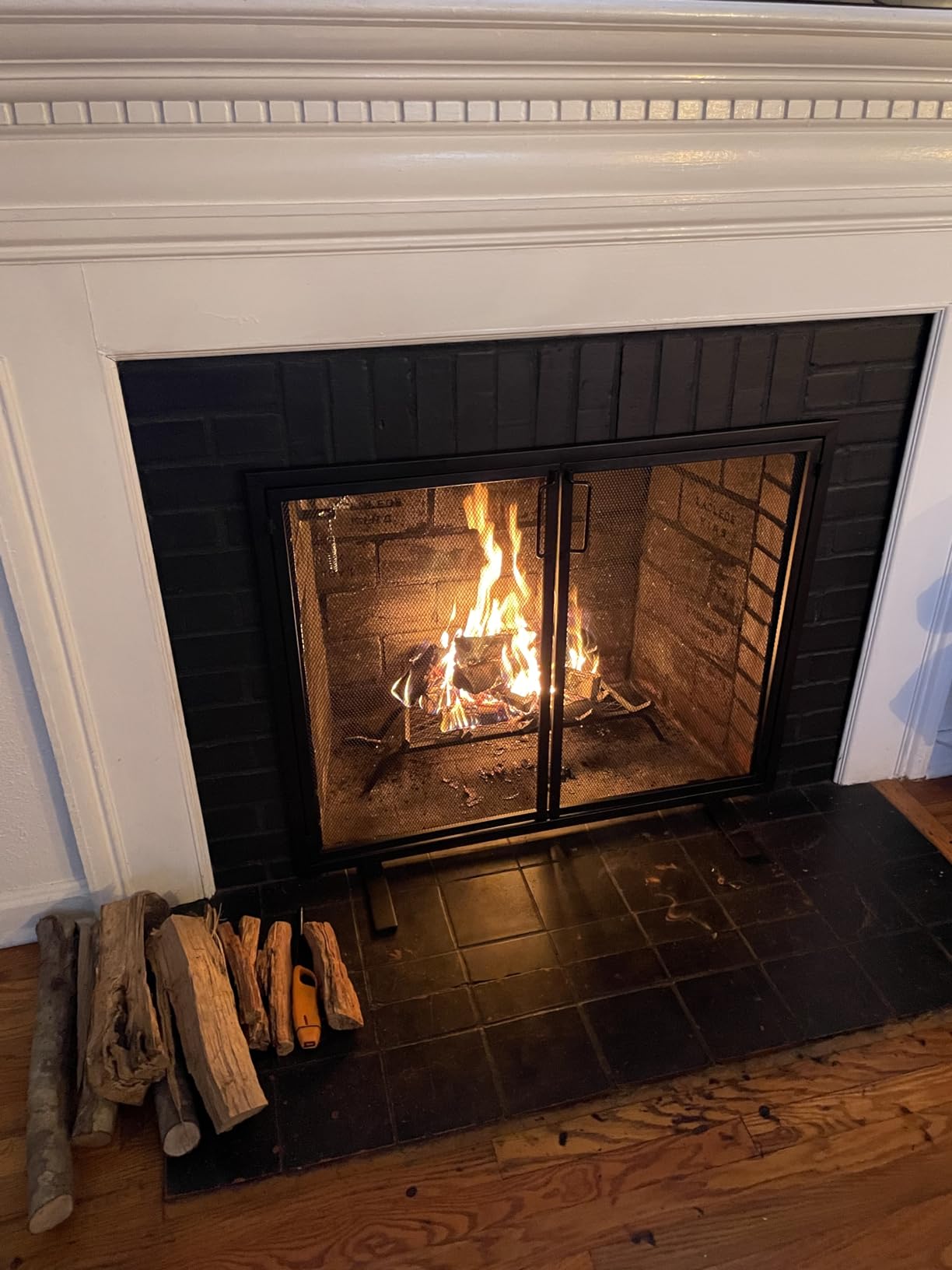 Best Choice Products 38.5x31in 2-Door Fireplace Screen, Handcrafted Wrought Iron Decorative Mesh Geometric Fire Spark Guard w/Magnetic Panels - Black customer photo 2