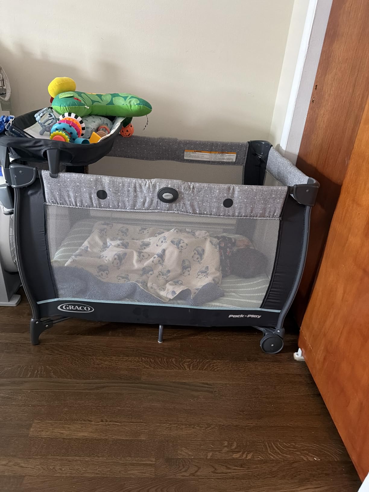 Graco Travel Dome LX Pack 'n Play Playard, Astin customer photo 2