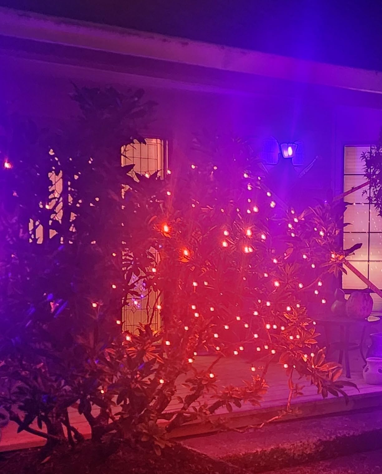 BlcTec Christmas Net Lights, 360 LED 9.8ft x 6.6ft Outdoor Christmas Lights with 8 Modes, UL Certified, Timer, Connectable, Waterproof for Bushes, Trees, Shrubs Yard Outdoor Xmas Decor, Multicolor customer photo 1