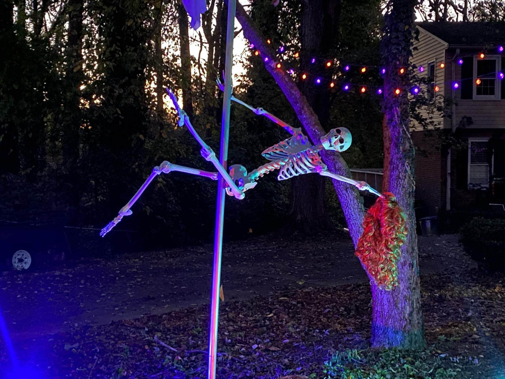 Wocst 5.4Ft/165cm Halloween Skeleton Full Body Life Size Human Bones with Movable Joints for Indoor Outdoor Halloween Props Decorations customer photo 1