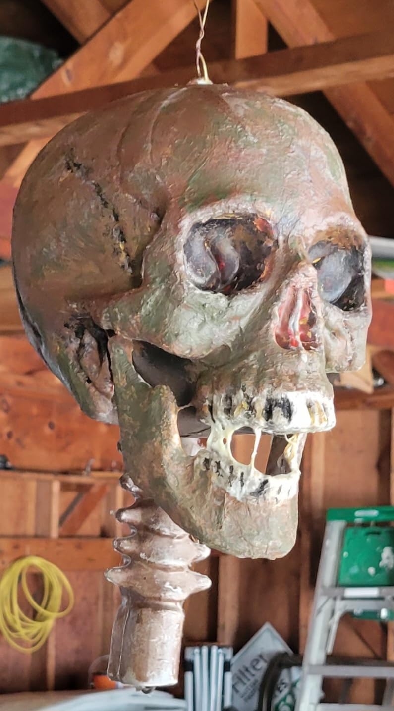 Wocst 5.4Ft/165cm Halloween Skeleton Full Body Life Size Human Bones with Movable Joints for Indoor Outdoor Halloween Props Decorations customer photo 2
