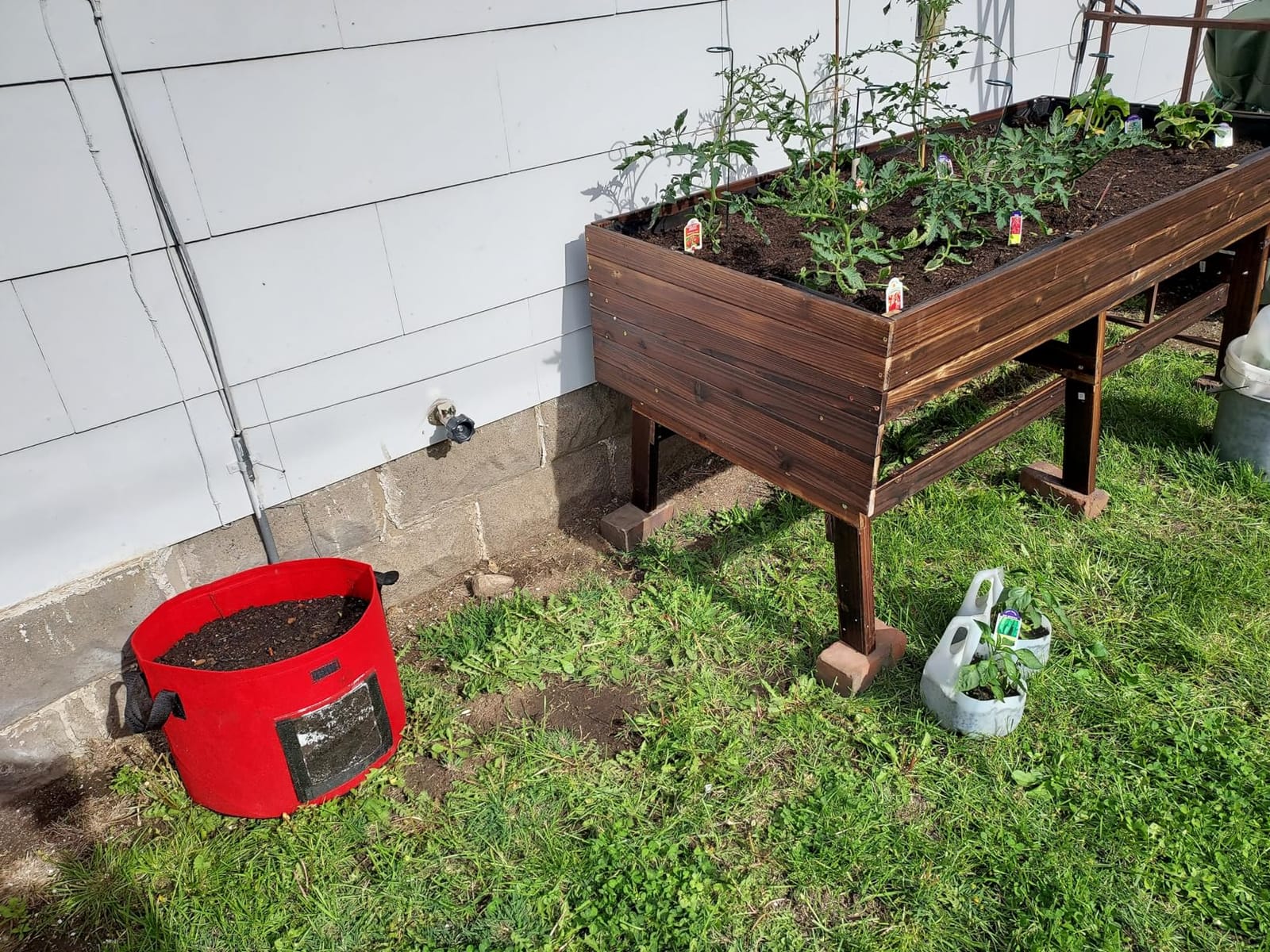 MUPATER 6x3x2FT Cedar Raised Garden Bed for Outdoor, Raised Garden Bed wit 6 Legs, 837lbs Large Elevated Garden Planter Box with Liner for Herbs,Vegetables, Rustic customer photo 2