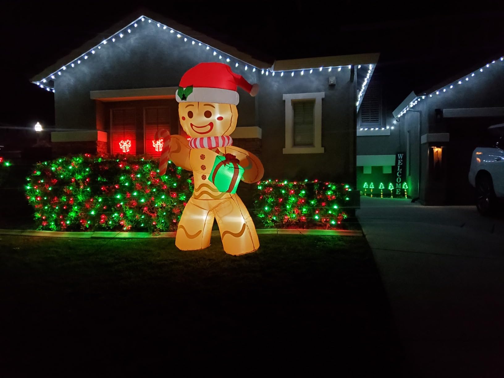 HISHINY LED Blue Christmas Net Lights Outdoor Christmas Decorations 5ftx5ft 100LED Green Wire,Connectable Outdoor Indoor Yard Mesh Shrub Net Lights String for Halloween Chritmas Party,Tree,Bush(Blue) customer photo 1