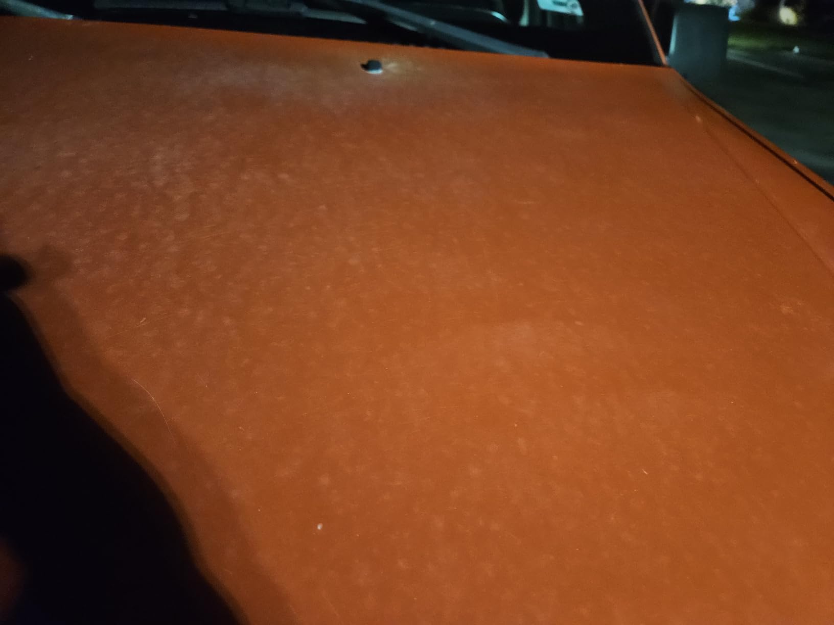 CERAKOTE® Rapid Ceramic Paint Sealant Spray for Cars, 14 oz | Hydrophobic ceramic coating for high-gloss shine; spray-on, safe on all painted surfaces customer photo 1