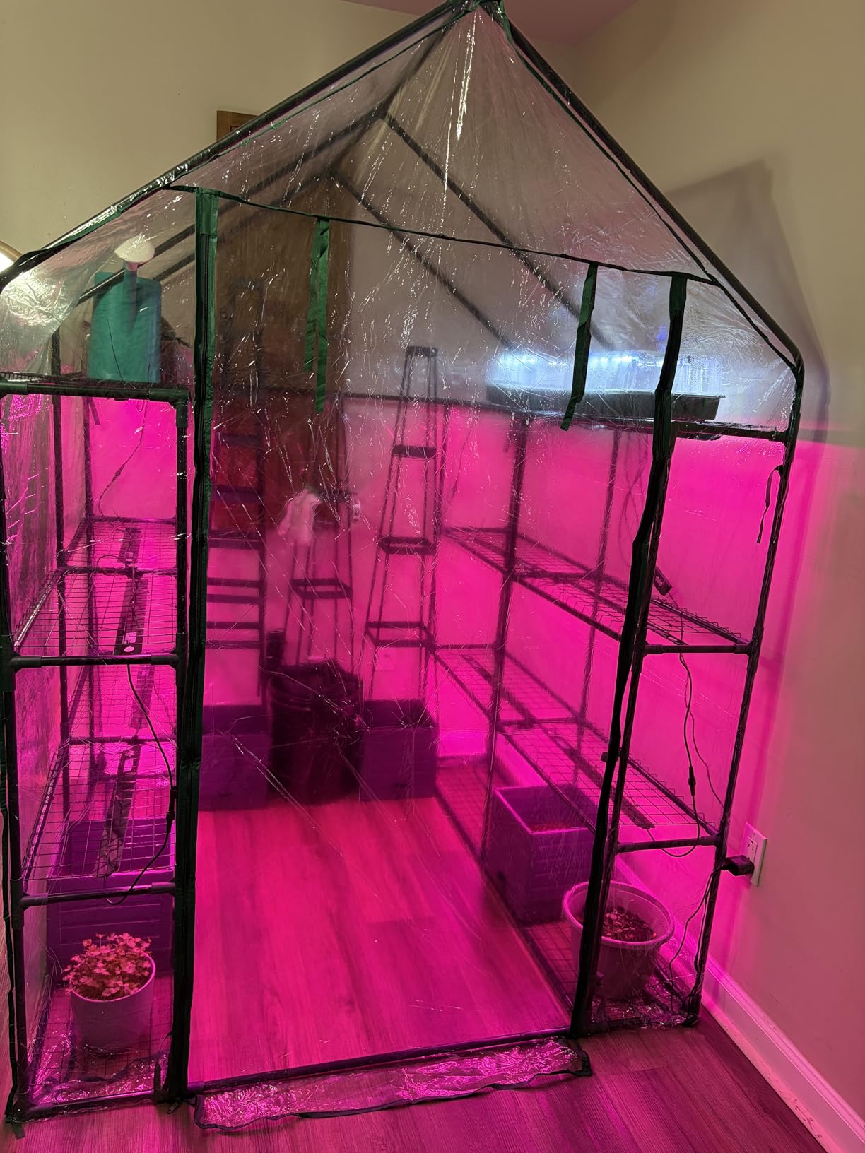 Bstrip Indoor Greenhouse with Grow Light, 4-Tier Mini Greenhouse Indoor customer photo 1