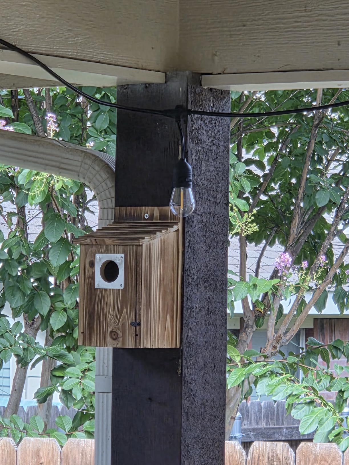 UUMENHA Bird Houses for Outside with Metal Predator Guard customer photo 2