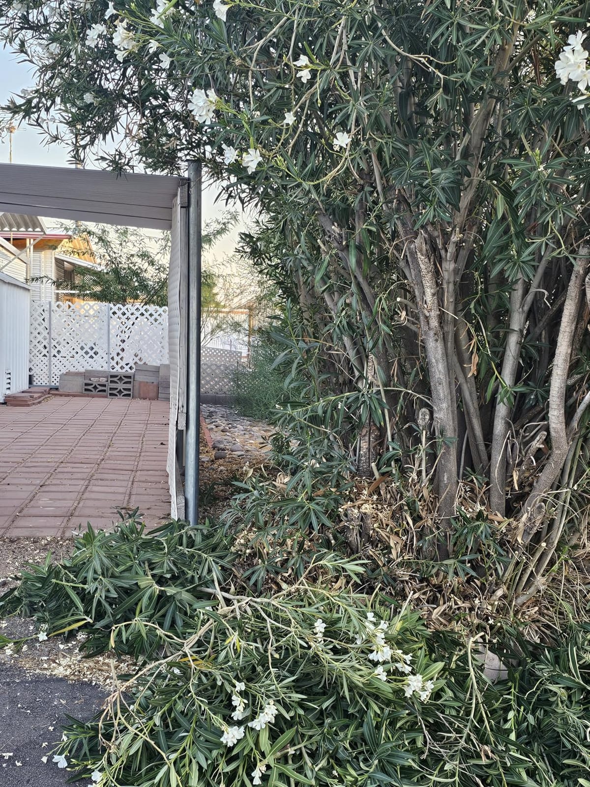 WORX Cordless Pruning Shear, 20V Powered Lopper, WG330 customer photo 2