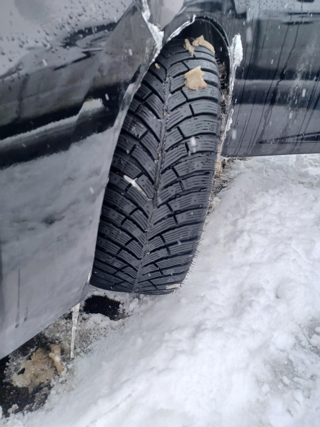 NEXEN Winguard Winspike 3 Winter Tire - 195/65R15 95T customer photo 1