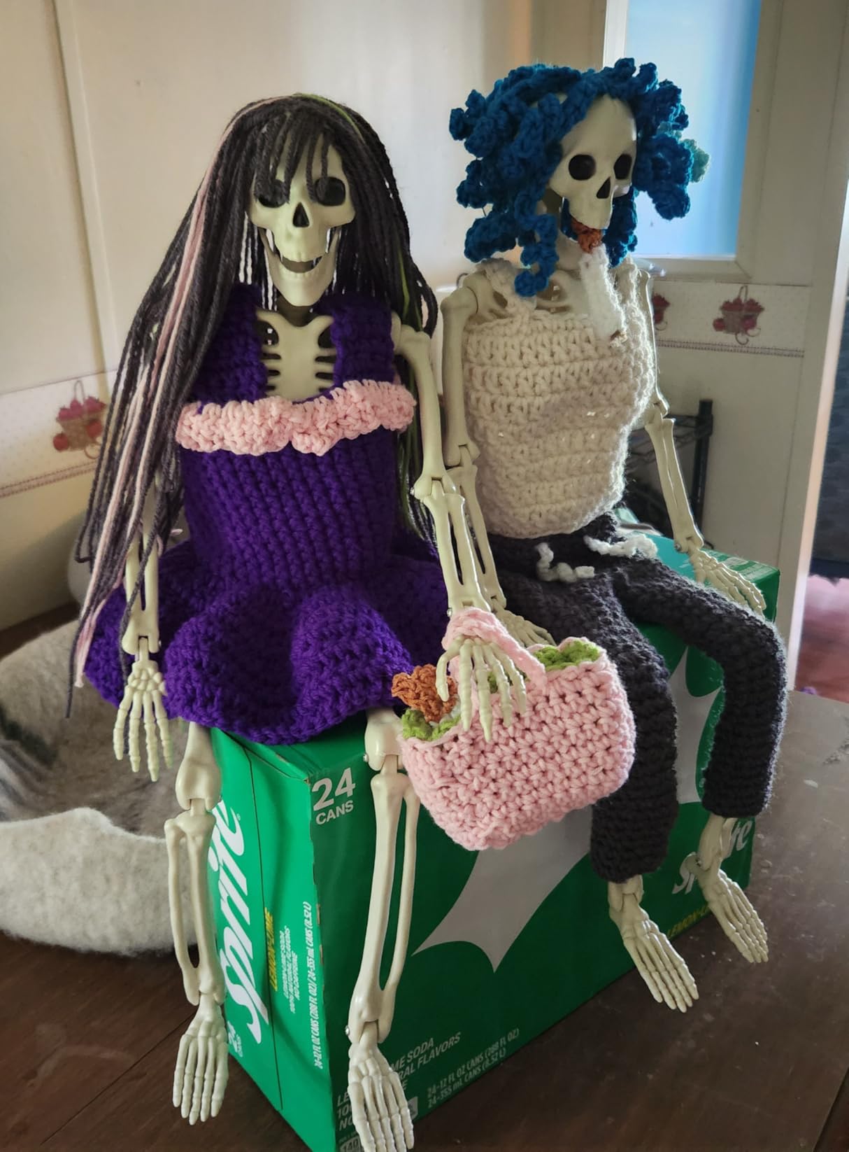 HBSTK 2 Pack 36.5