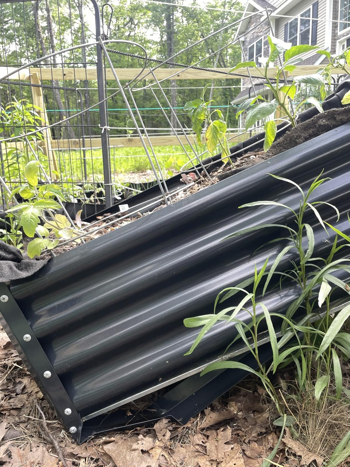 Land Guard Galvanized Raised Garden Bed with Legs, 48×24×32in Large Metal Elevated Raised Planter Box with Drainage Holes for Backyard, Patio, Balcony, 700lb Capacity customer photo 2