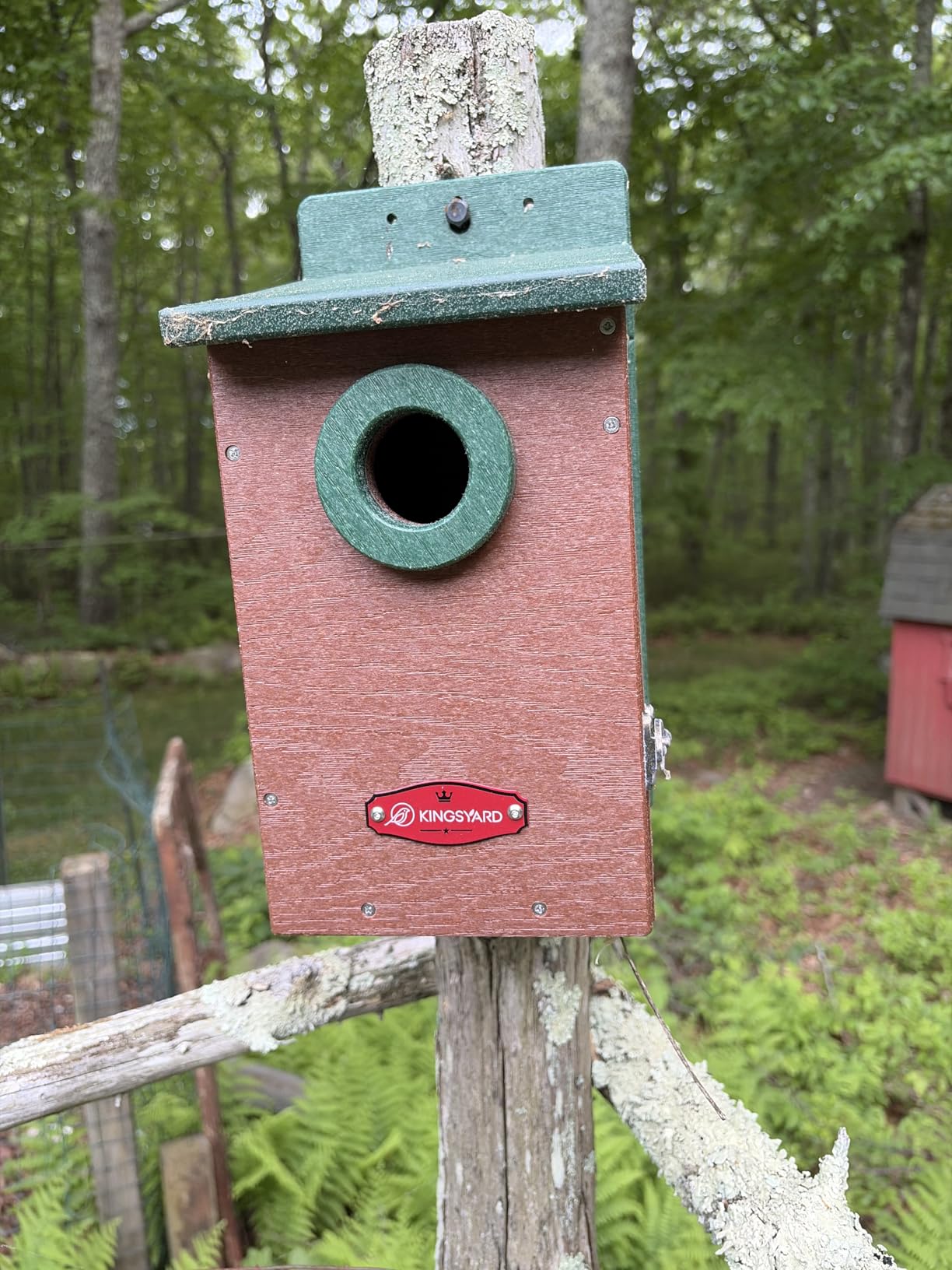 Kingyard Bluebird House, Outdoor Bird House with Predator Guard customer photo 1