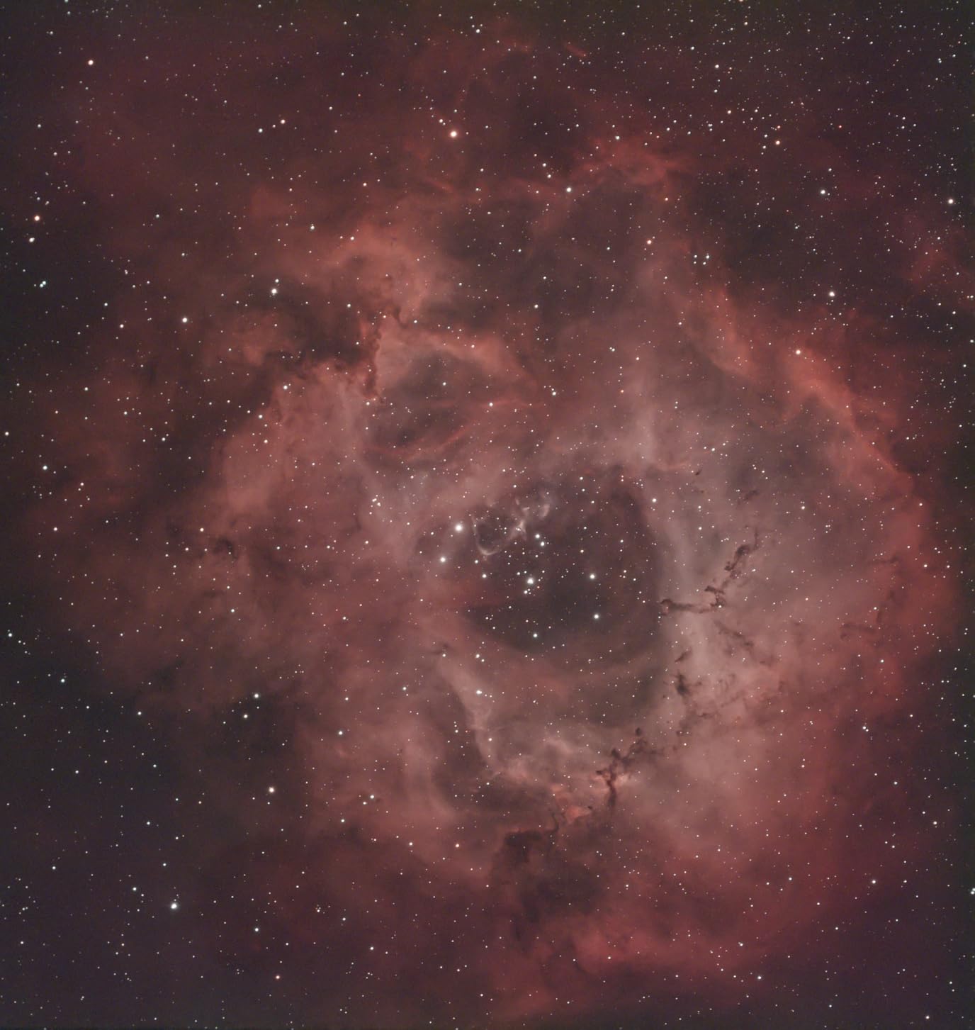 SVBONY SV220 Telescope Filter, 2