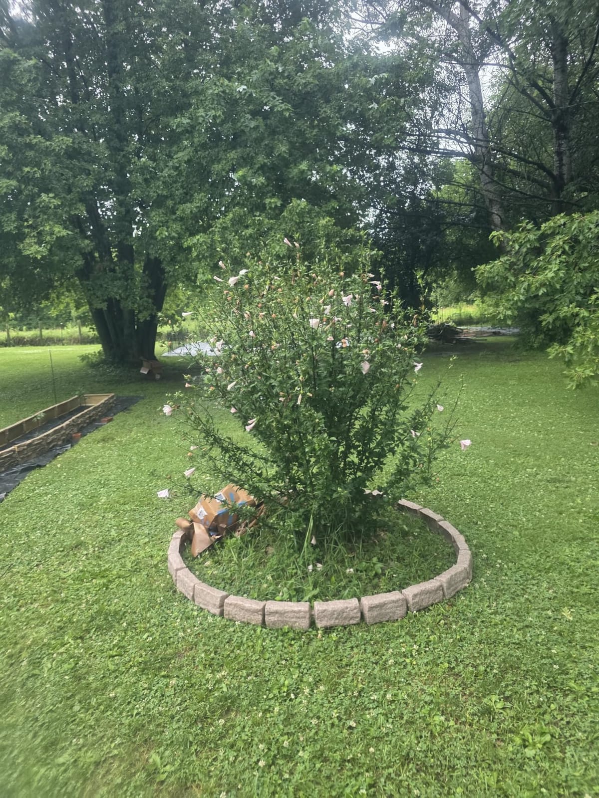 Beuta Landscape Edging | Garden Edging Border | Polyrock Bricks for Lawn Edging, Flower beds, Pathways & Yard Edging– 4 Packs | Each Section Has 6 Bricks 48