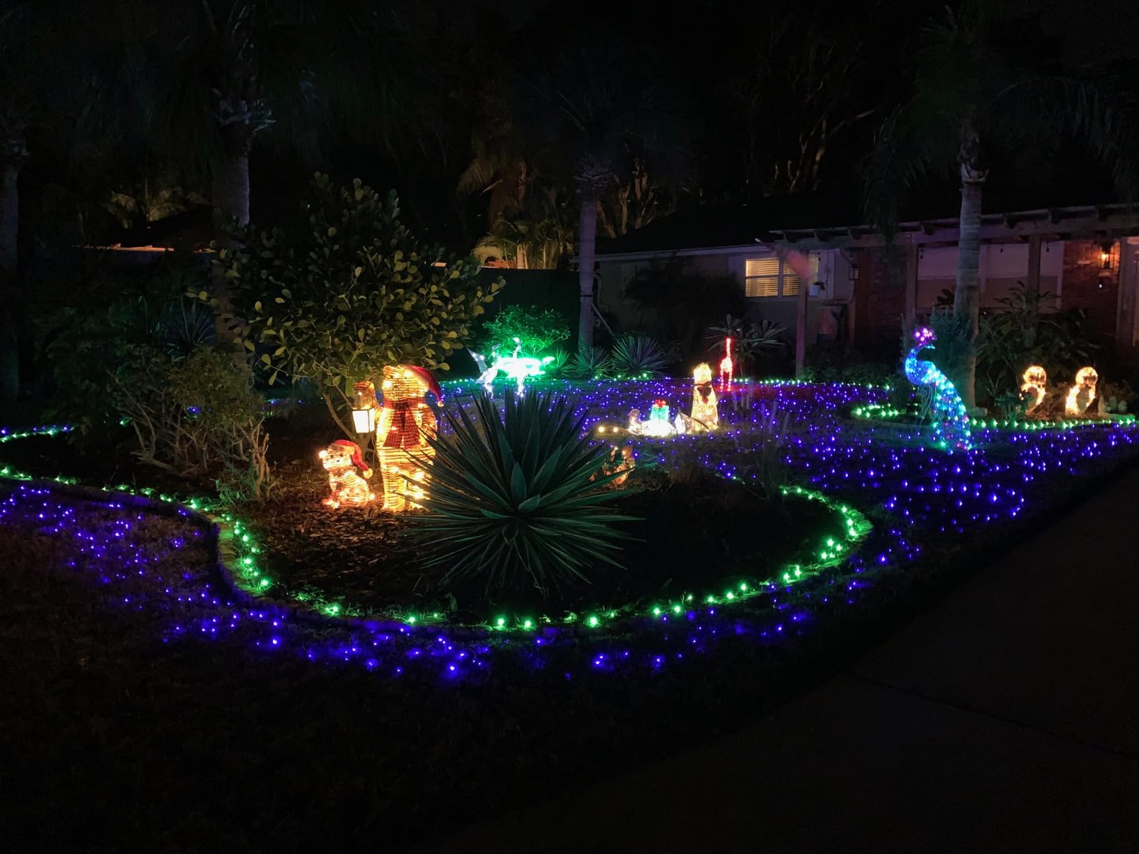 TW SHINE Christmas Lights, 200 LED 66FT Outdoor Christmas Lights Plug in with 8 Modes, Waterproof Light Outdoor, Indoor Xmas Decorations for Party Yard House Decor, Multi-Colored customer photo 2