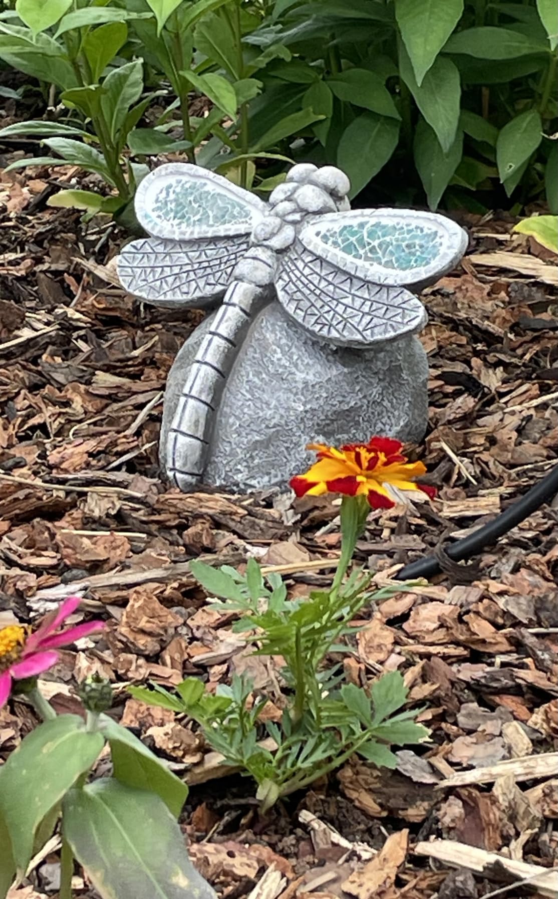 Rezpuao Garden Statue Dragonfly,Solar Dragonfly Decor for Outdoor,Resin Dragonflies Figurine with Solar Light for Patio,Balcony,Yard,Lawn Ornament,Perfect Garden Gift customer photo 2