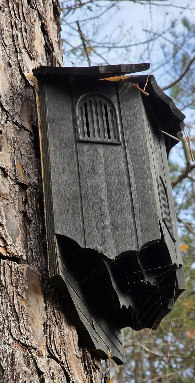 VIREESR Bat House for Outdoors, Castle 3-Chamber Bat Box, 100-Capacity customer photo 2
