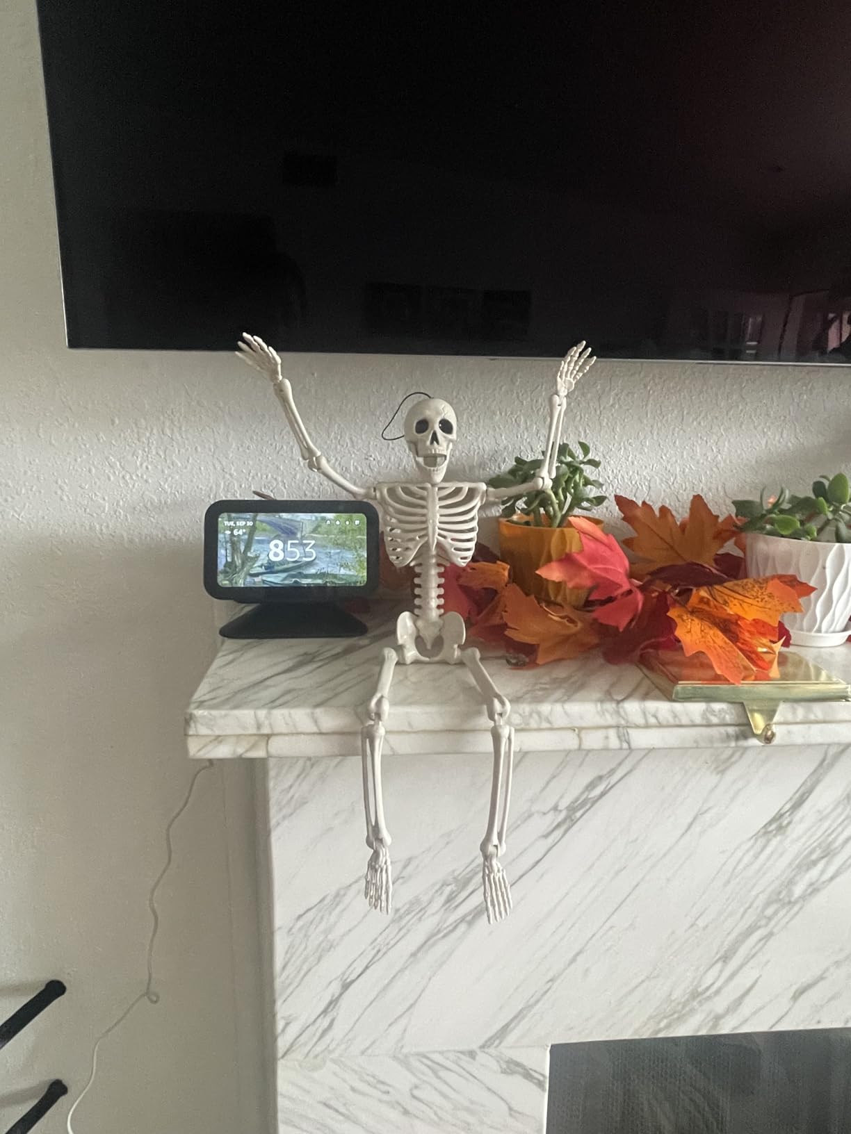 JOYIN 5 PCS Posable Halloween Skeleton Decor 16 Inches, Full Body Posable Joints Hanging Skeletons for Halloween Decorations, Graveyard Props, Haunted House Accessories, Spooky Scene Party Favors customer photo 1