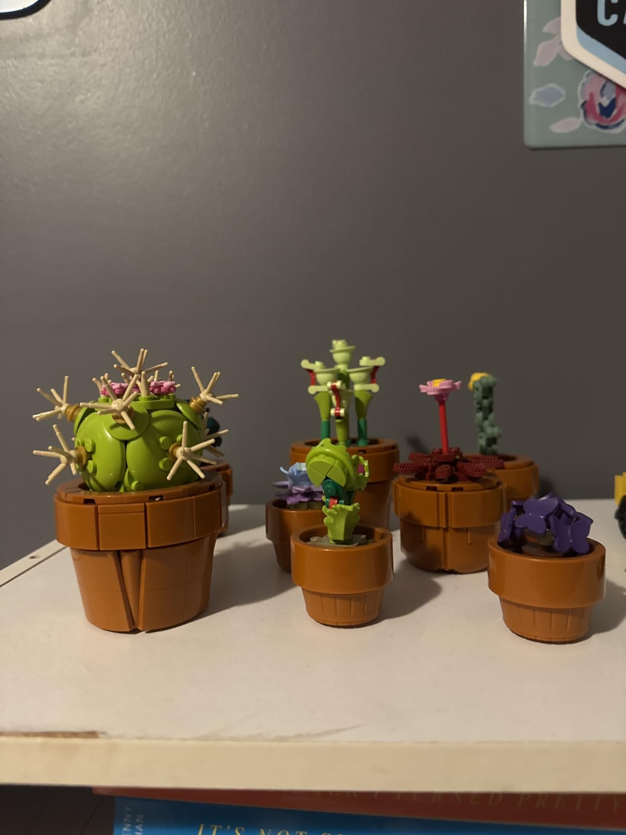 LEGO Botanicals Tiny Plants - Artificial, Fake Indoor Plant Building Set for Home, Kitchen, Desk Decoration, Adults Ages 18+ - Gift for Birthdays - 10329 customer photo 2