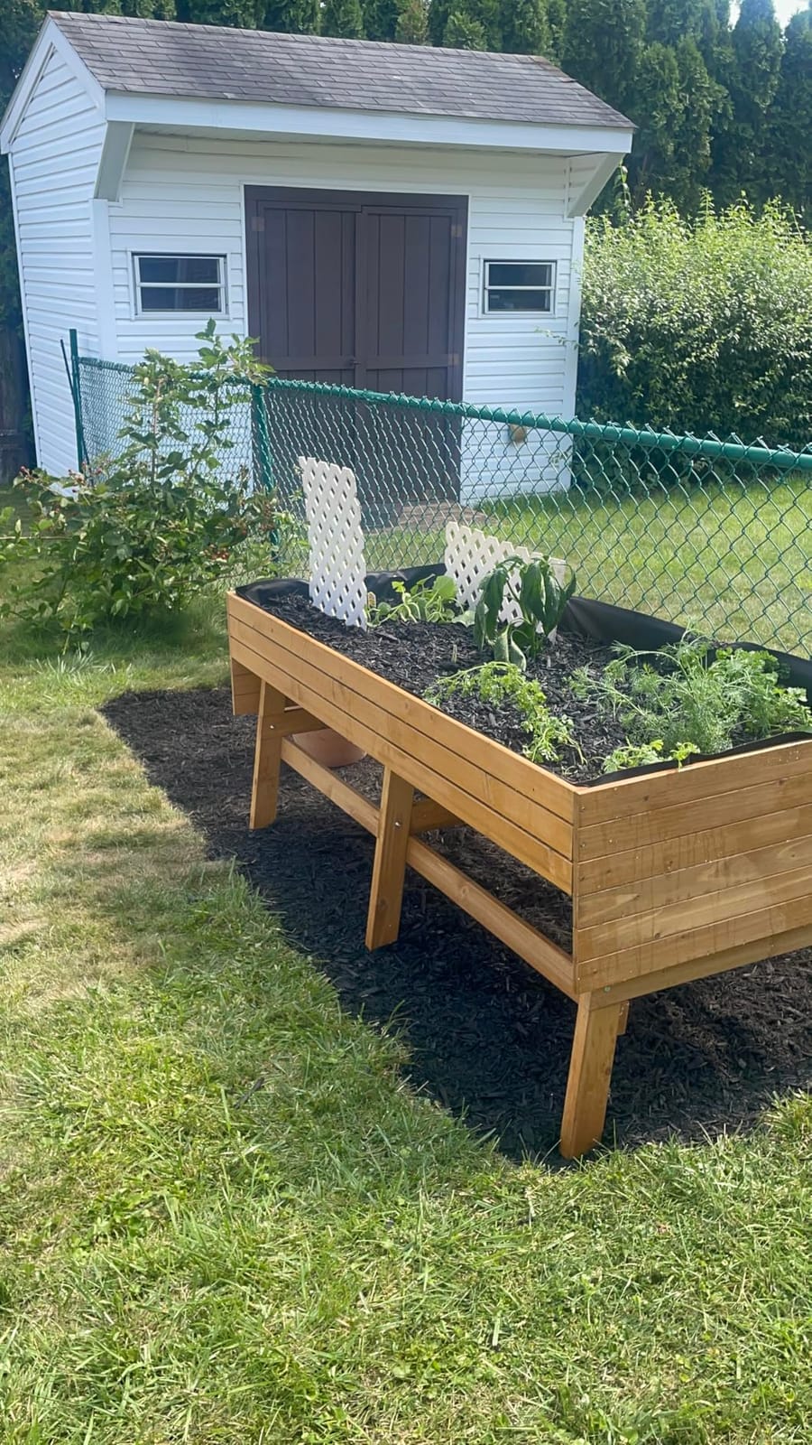 VEIKOU 6x3x2FT Raised Garden Bed, Outdoor Oversize Planter Box with Liner, Cedar Garden Bed with Legs for Vegetables Flower Herb, 837lbs Capacity, Rustic Brown customer photo 2