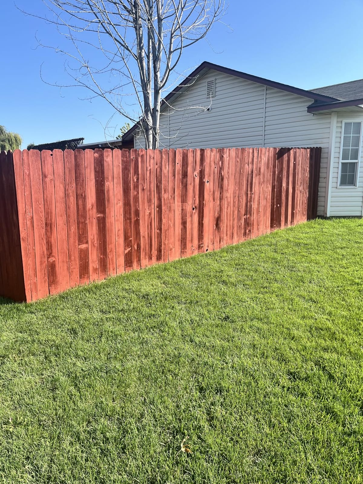 EVOLVE Barn & Fence Paint, Flat (Red), 1 Gallon – Durable Scratch-Resistant Wood Coating for Outbuildings & Fences, Fast-Dry Water-Based Formula customer photo 2