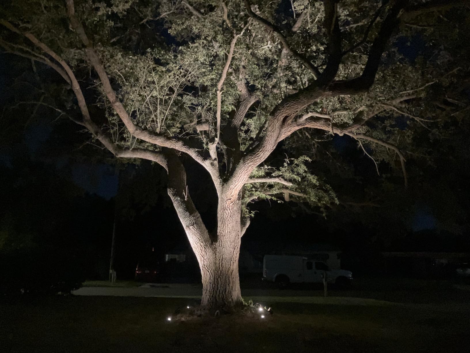 SUNVIE All-in-One Low Voltage Landscape Lighting Kit, Dusk to Dawn, 8 PCS customer photo 1