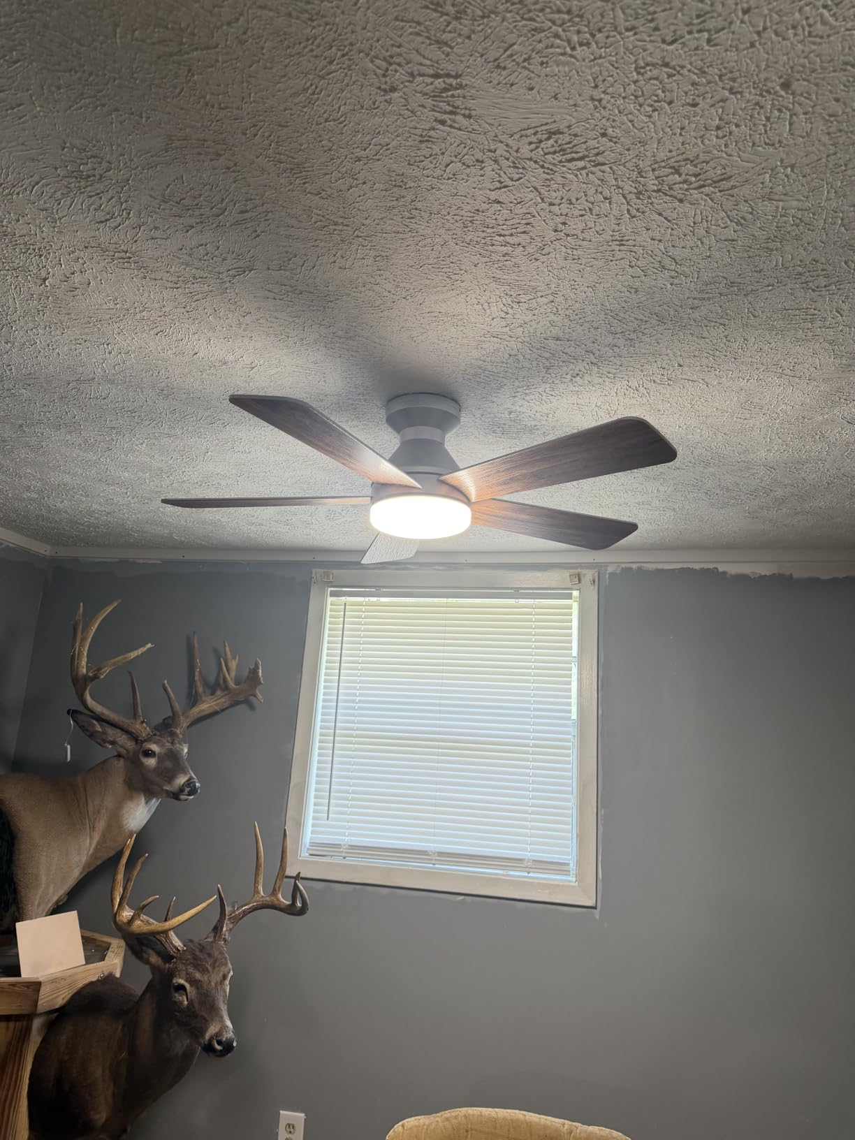 addlon 42 Inch Black Low Profile Ceiling Fans with Lights and Remote customer photo 2
