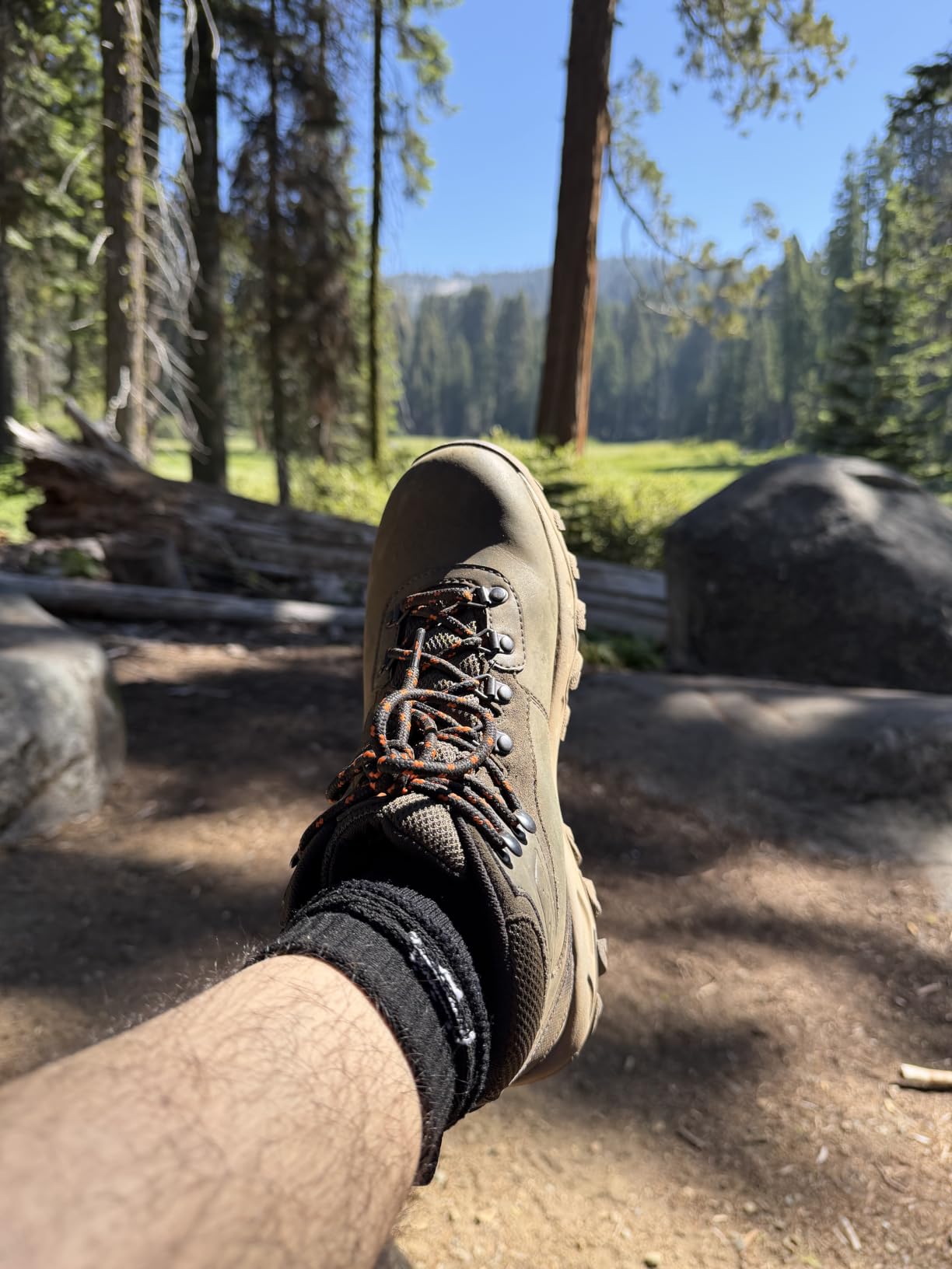 Columbia Men's Newton Ridge Plus Ii Waterproof Hiking Shoe customer photo 1
